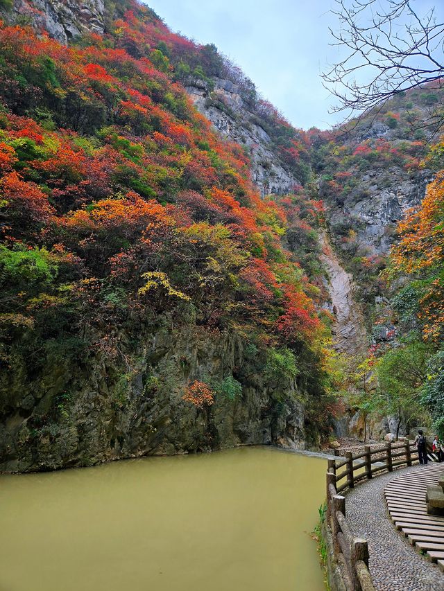 隴南峽谷裡的秋色。