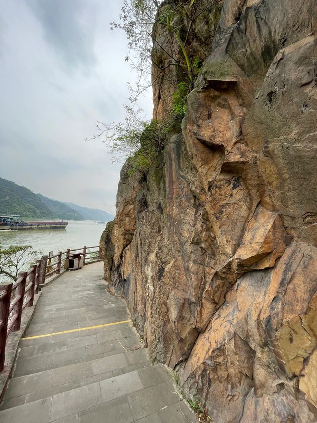 廣東肇慶羚羊峽谷森林公園‖最美古棧道。
