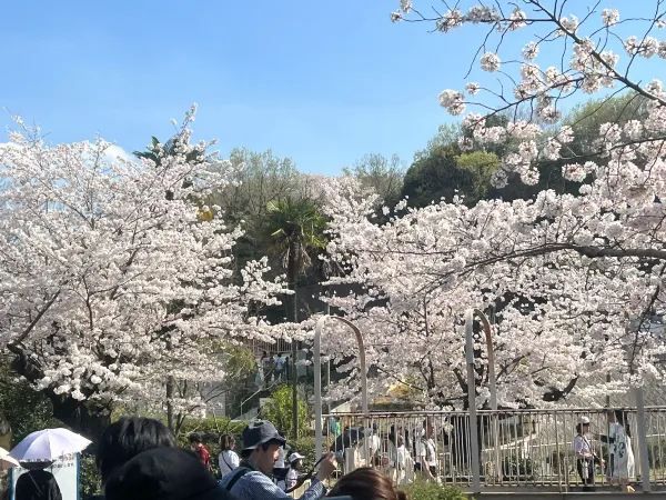 Nagoya Higashiyama Zoo and Botanical Gardens