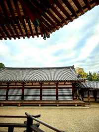 奈良法隆寺。