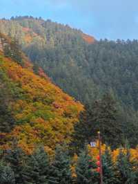 隴右名山蘭州興隆山 | 邂逅醉美秋色。