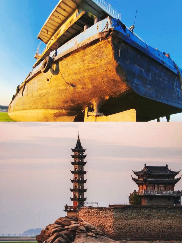 追尋候鳥蹤跡：看鄱陽湖的美麗與壯觀。