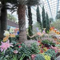 Explore the beauty of Flowers Dome of Singapore Garden by the bay