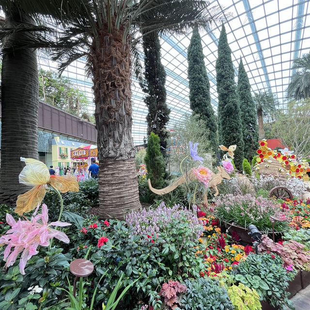 Explore the beauty of Flowers Dome of Singapore Garden by the bay