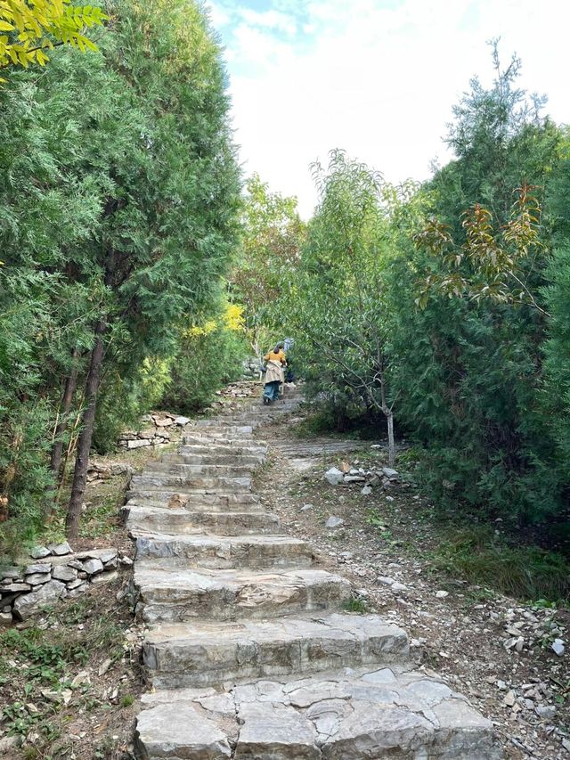 濟南週末去哪裡？葫蘆頂爬山攻略。