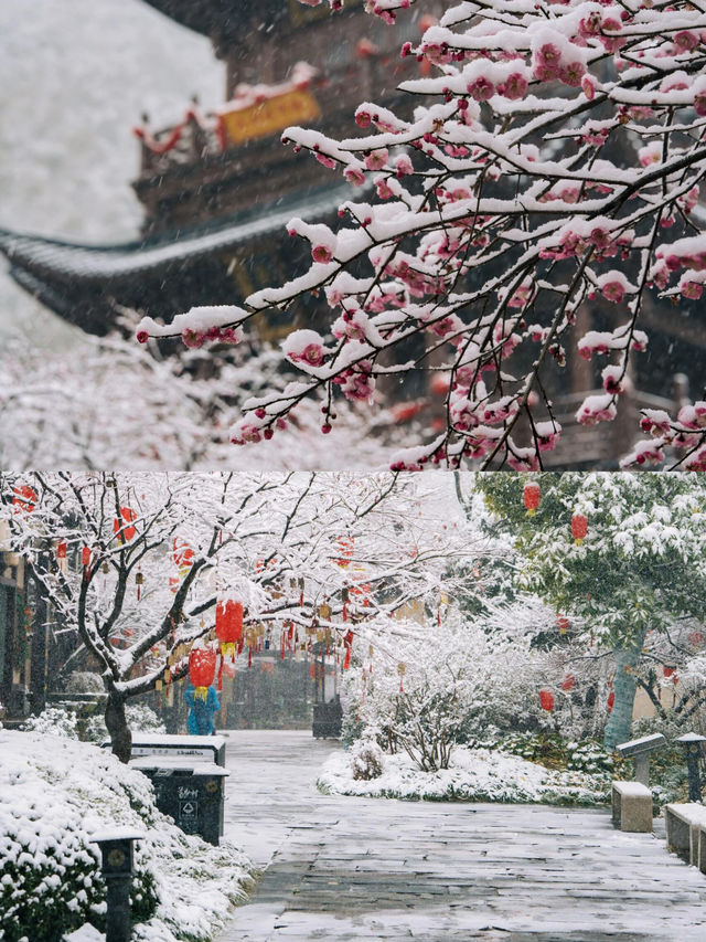 葛仙村：現實版千與千尋，兩日仙旅記錄