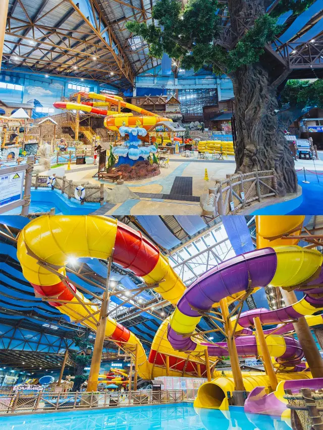 Baishan-Yanbian Autumn Tour | Autumn Travel Tips for Sisters