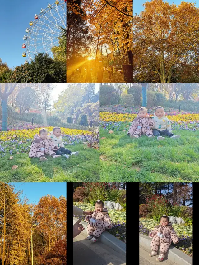 鄭州-碧沙崗公園秋季親子一日遊
