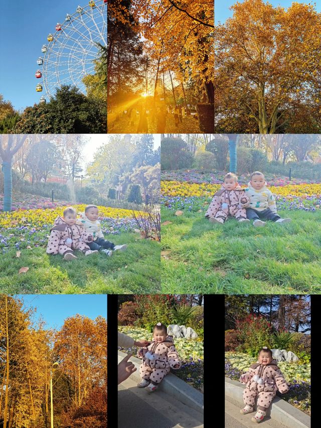 鄭州-碧沙崗公園秋季親子一日遊