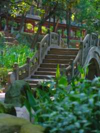 四川綿陽｜富樂山公園，不要低估這座小城的美