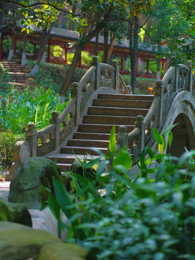 四川綿陽｜富樂山公園，不要低估這座小城的美