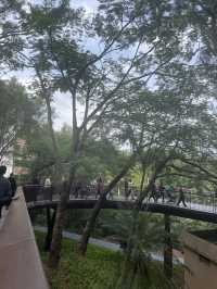 深圳龍華公園又對外開放啦！