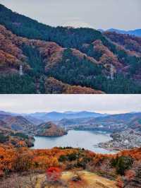 Winter's Hidden Gem: Tokyo's Surrounding Light Shows