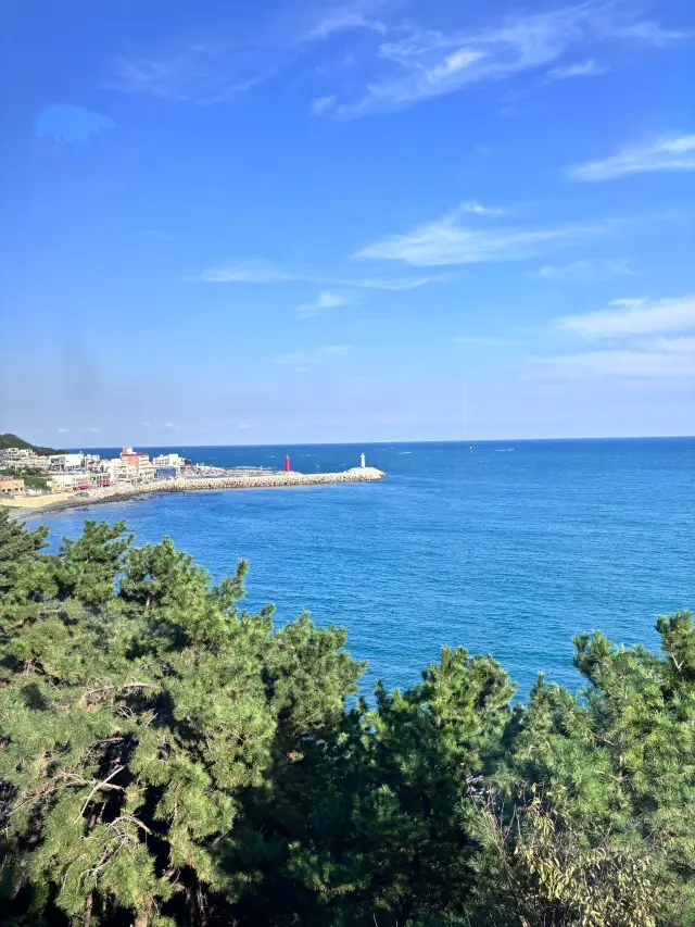 4-Day Busan Itinerary: Winter Travel Tips