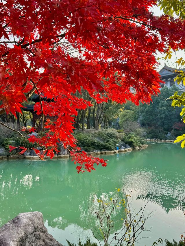 3日衢州遊 元旦出行正當時