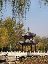 探天津北寧公園秋之美：秋的終極棲息之所