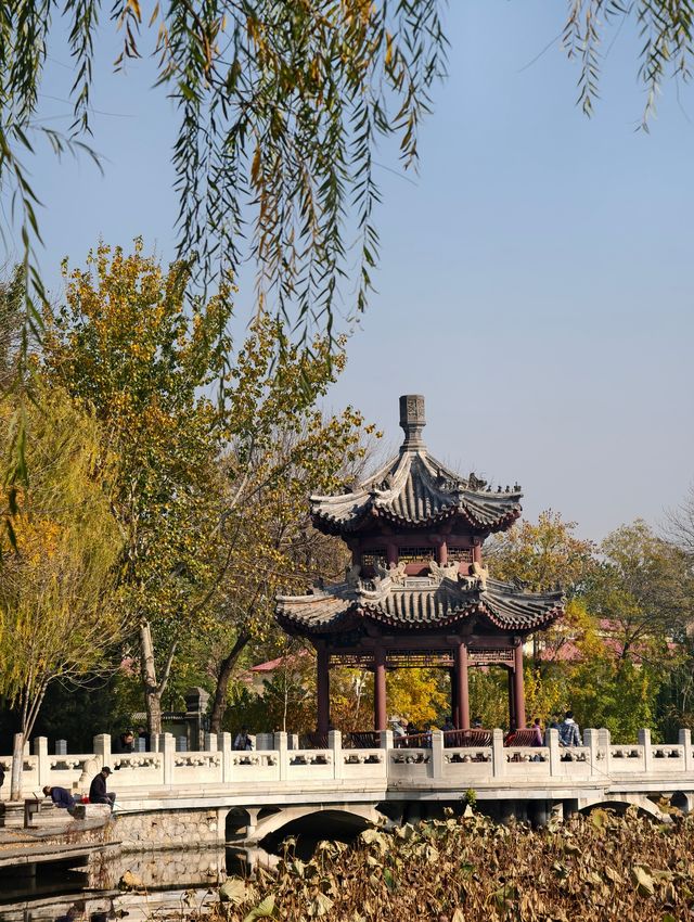 探天津北寧公園秋之美：秋的終極棲息之所