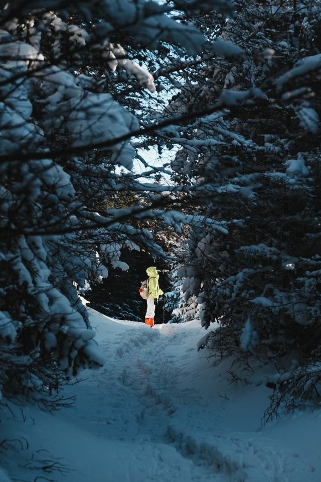 最美山西夢幻雪山管涔山：山西的阿勒泰