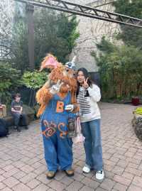 Discover Phantasialand in North Rhine-Westphalia