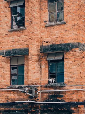 小長假泡溫泉就去日本 別猶豫