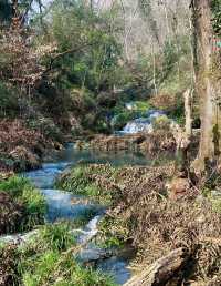 大口森林公園旅遊推薦以及周圍酒店推薦