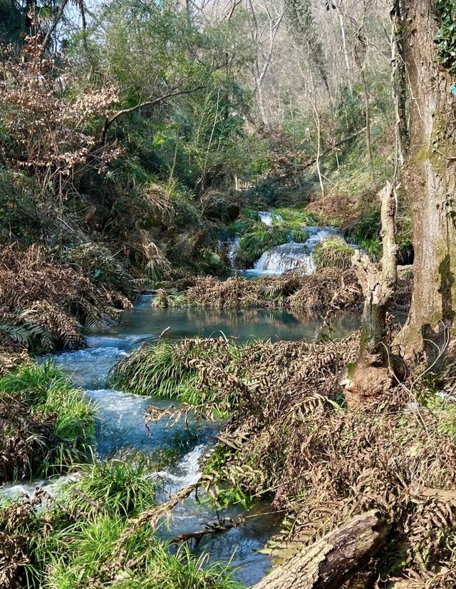 大口森林公園旅遊推薦以及周圍酒店推薦