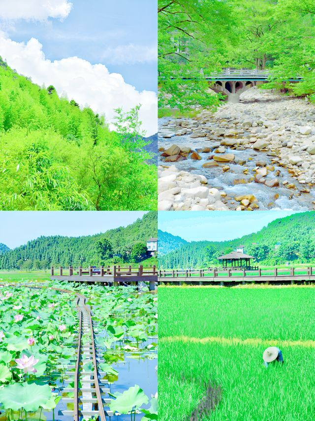 小眾行：解鎖福建「碧水丹山」密碼