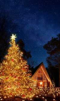 Experience the Magic of Christmas at Karuizawa Kogen Church