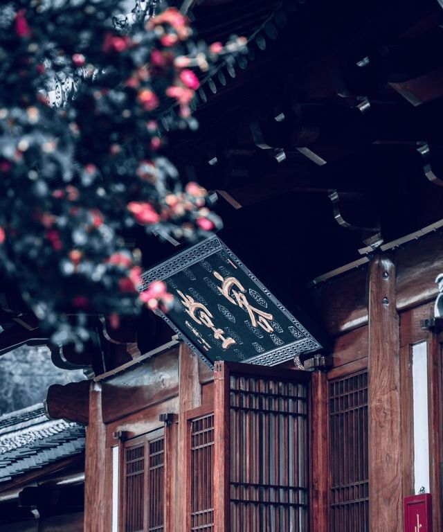 為了一棵樹，我駕車三個小時！