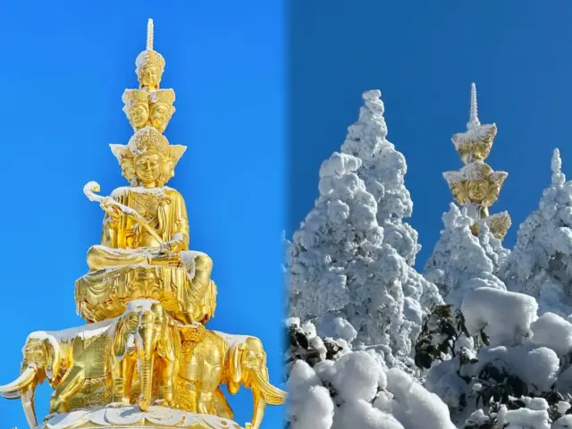 Emei Mountain 2D1N Itinerary: A Must-Read for First-Time Visitors