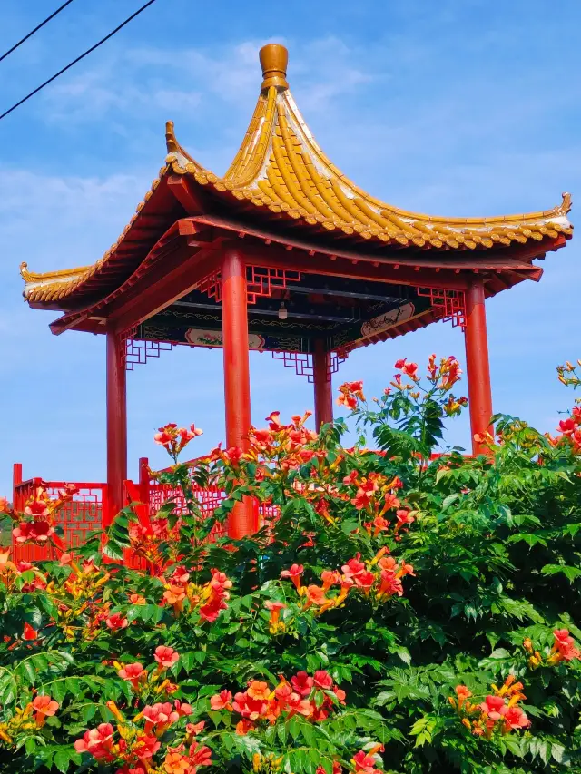 4-Day Sanya and Xisha Islands Tour: Unmissable Sights