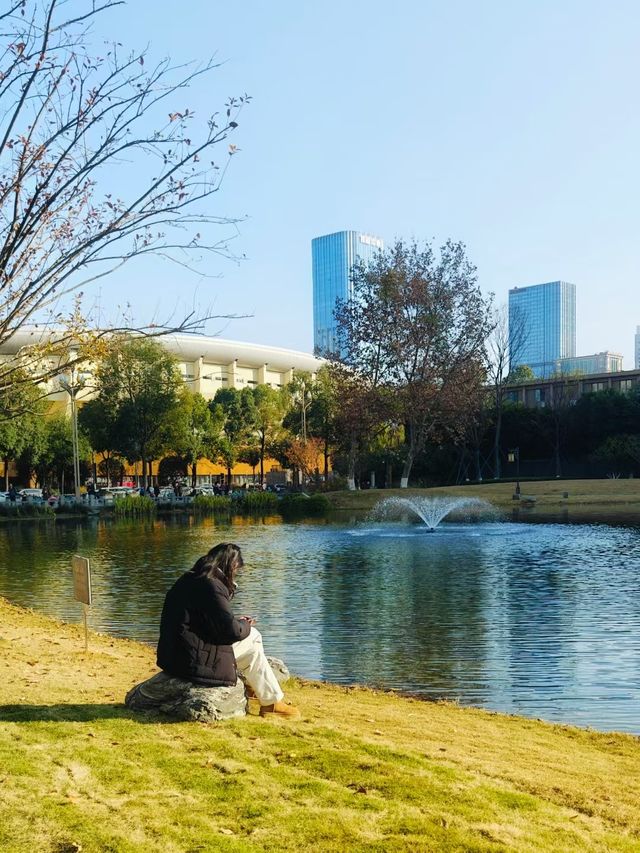 冬日暖陽下的摩訶池公園