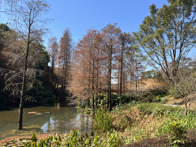 雲溪植物園