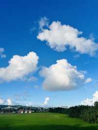日本7日遊 朋友圈熱門攻略來襲