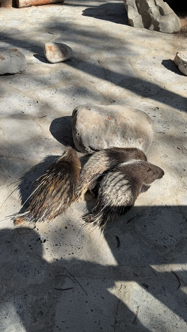 雲南野生動物園
