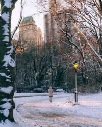 冬日中央公園：邂逅紐約的夢幻雪景