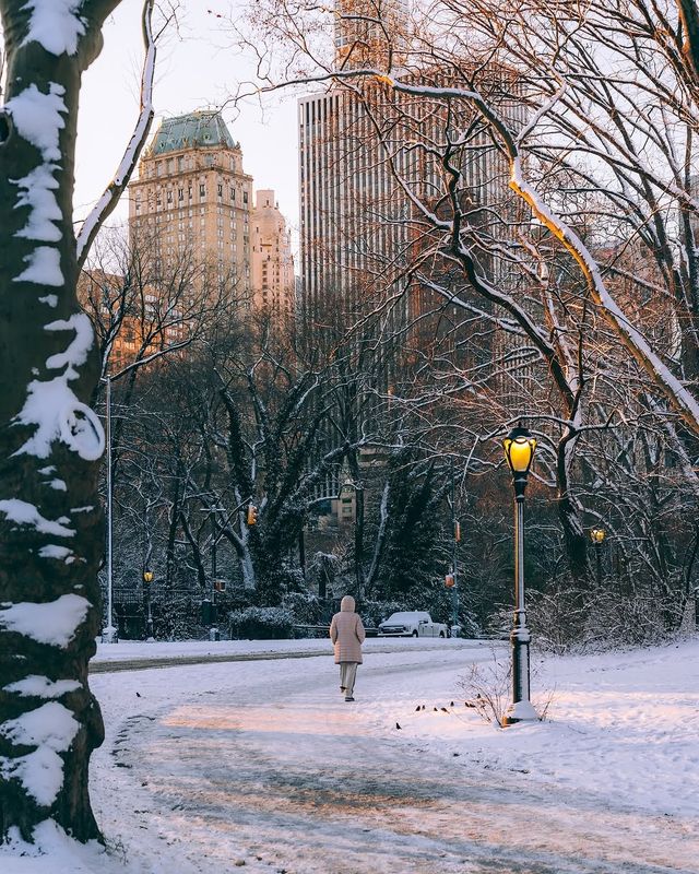 冬日中央公園：邂逅紐約的夢幻雪景