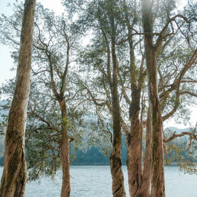 香港情侶行山新玩法！城門水塘浪漫到爆