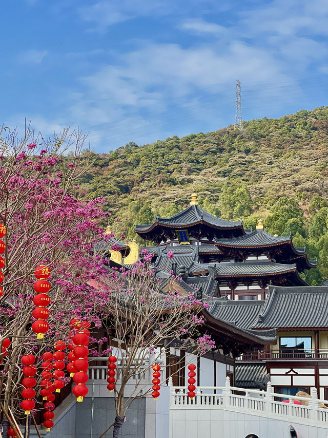 增城新年遊玩！免門票！千年古寺拜財神！