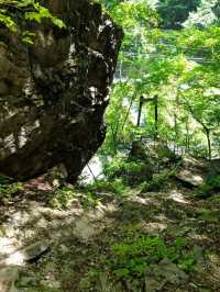 白妙橋