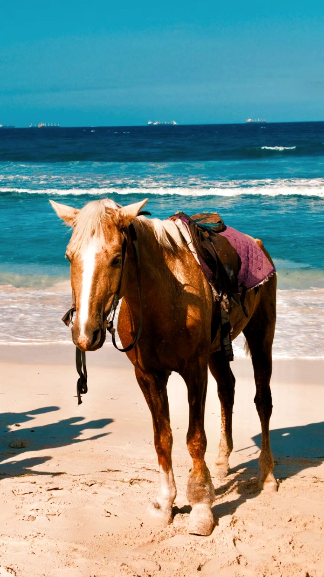 Enjoy the sea in Dar es Salaam