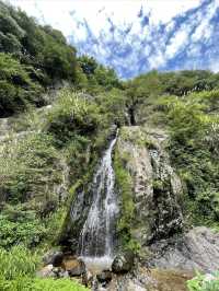 余姚陽明溫泉山莊—冬日泡湯，夏日採摘