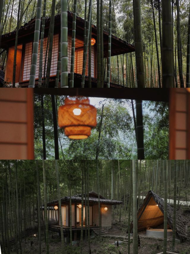 情人節|和TA一起，去安吉山野泡湯~。