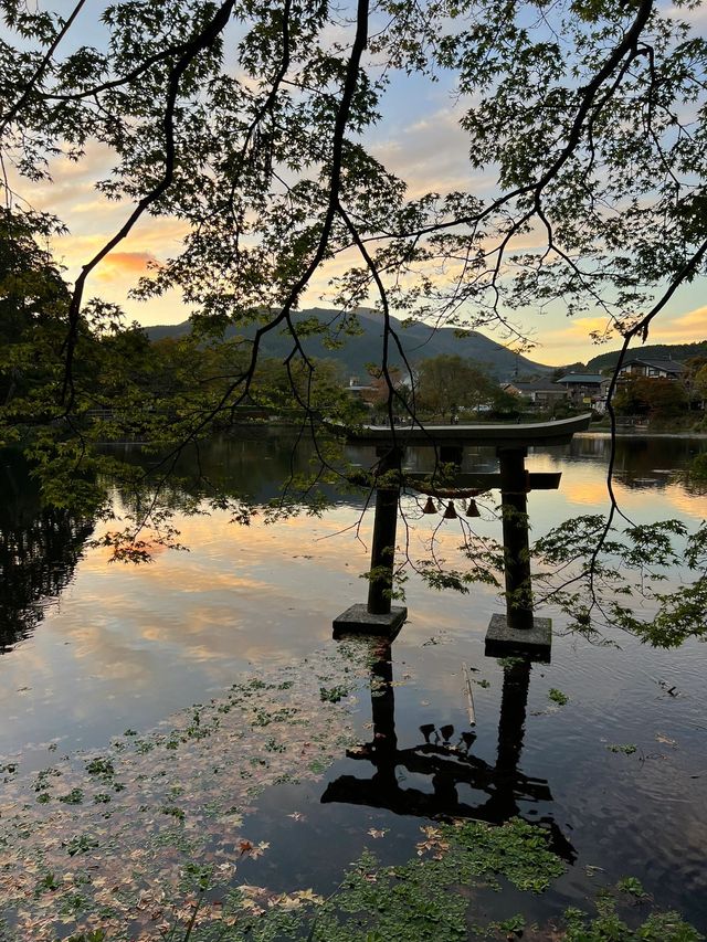 過年去日本玩6天 超全攻略來襲