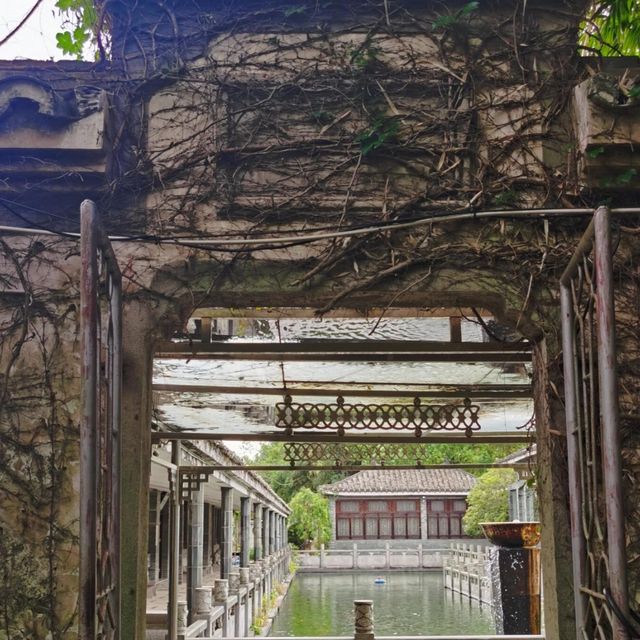 天香公園｜解鎖城市綠野仙蹤｜邂逅自然浪漫