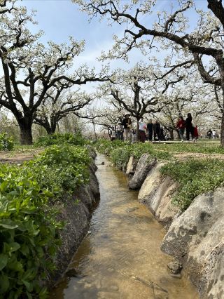 安徽宿州三日遊攻略來囉：快帶家人一起來打卡