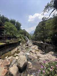 沙壩貓貓村