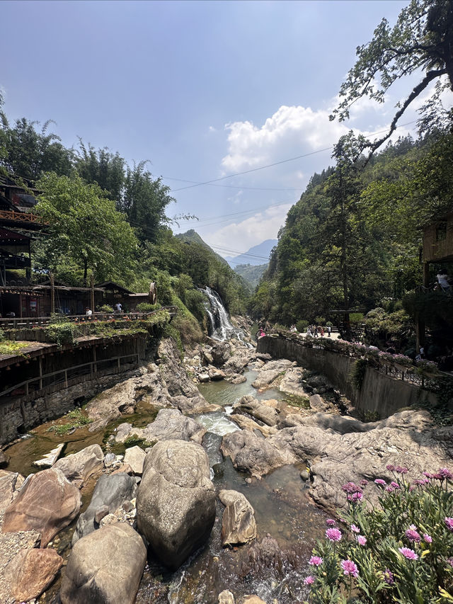 沙壩貓貓村