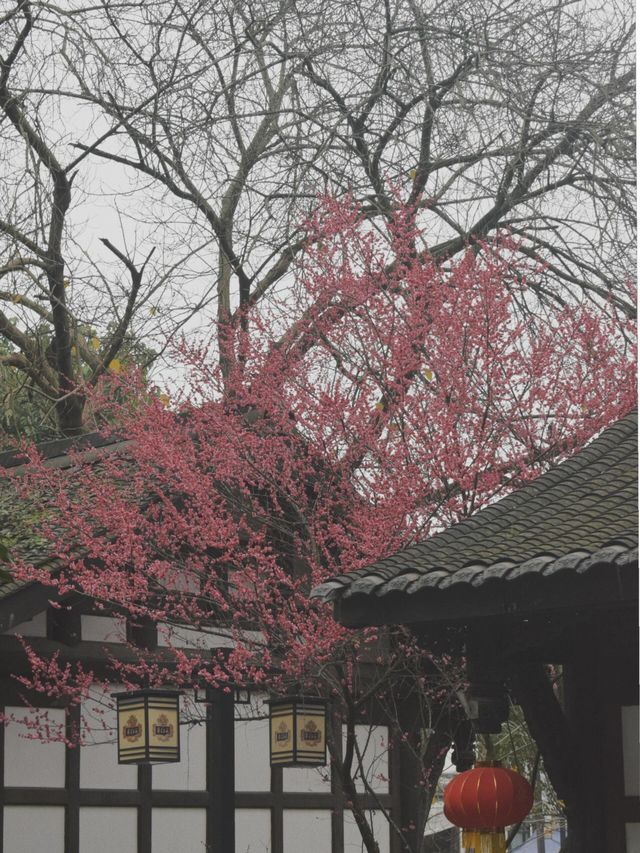 青石板舊屋簷，快加入你的周末治愈清單