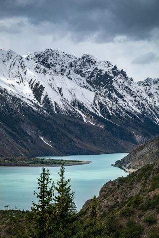 The peach blossoms in Tibet are unrivaled anywhere in the world